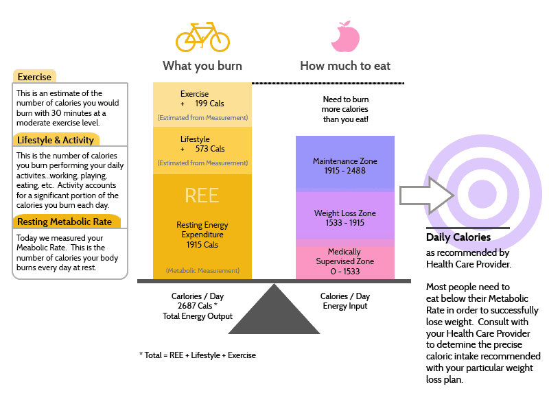 meabolic-rate-graph-working2 metabolic testing infographic rejuv medical waite park mn