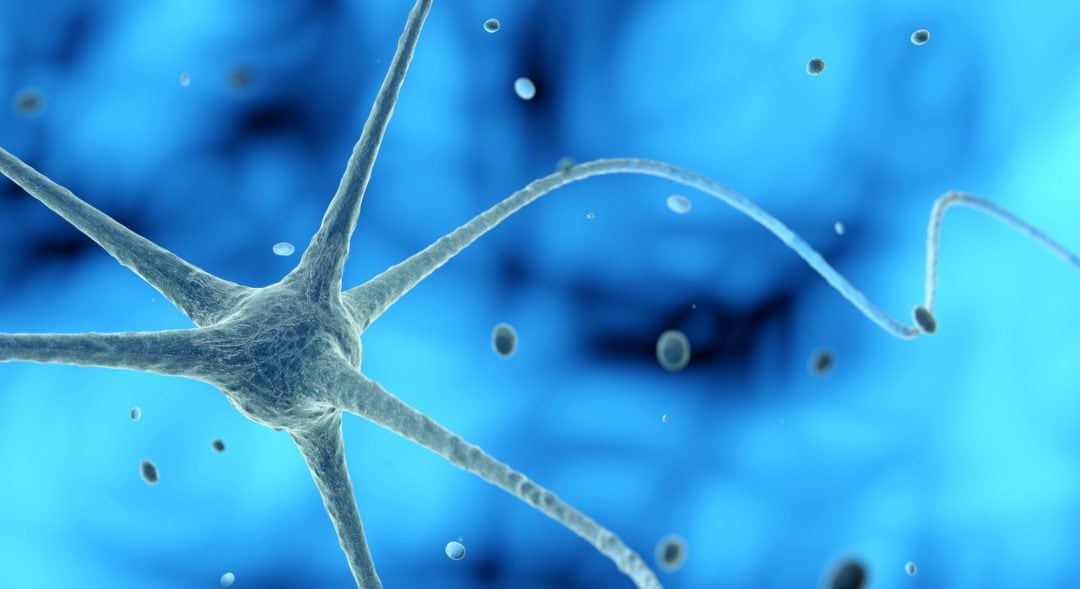 Nerve Health Treatment Options