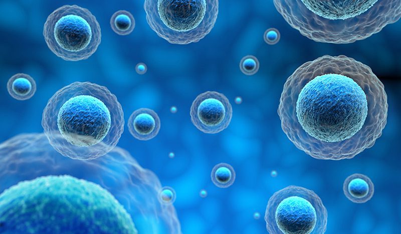 Cell-Health-Blog